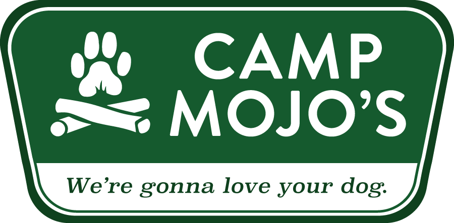 Camp Mojo's: Just another WordPress site